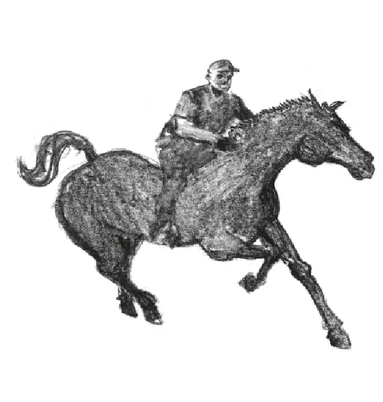 atadv-al-galoppo-disegno-cavallo