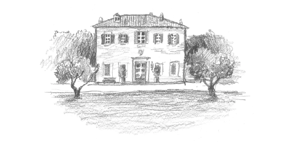 atadv-al-galoppo-disegno