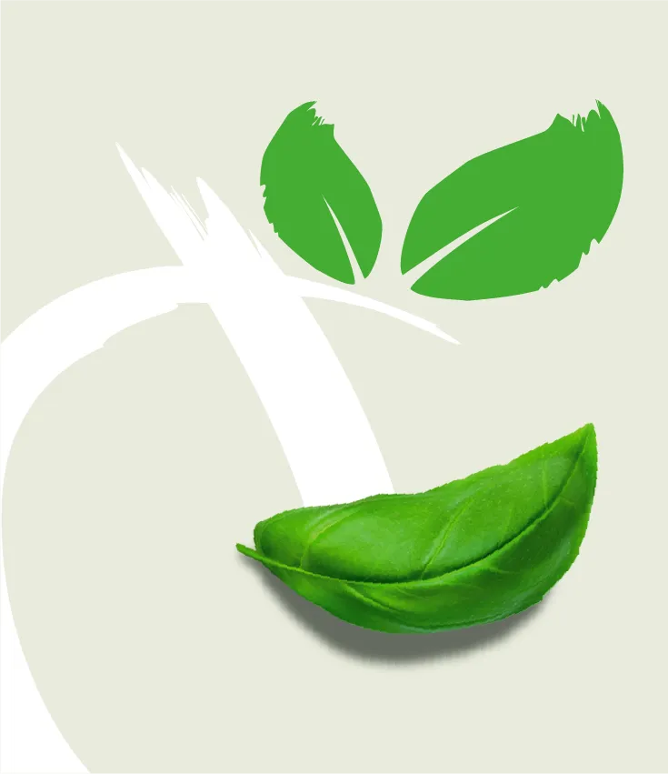 atadv-vasiniko-branding
